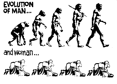 Evolution of man... and woman