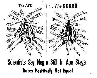 Affiche The Ape/The Negro